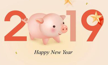 Hefei Mycoil Technology Co.,LTD 2019 CNY Holidays Notice